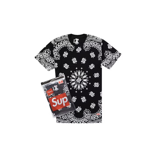 Supreme tee hanes tagless paisley black | The Valley Store PH